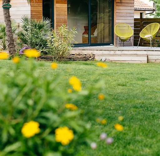 Board 'n Breakfast Hotel